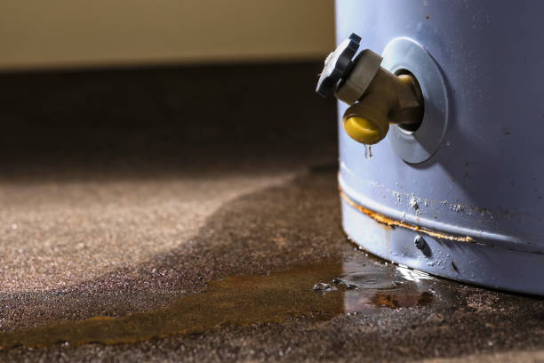 Best Water damage restoration insurance claims  in Hillsboro, OH