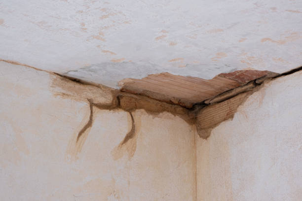  Hillsboro, OH Water damage restoration Pros