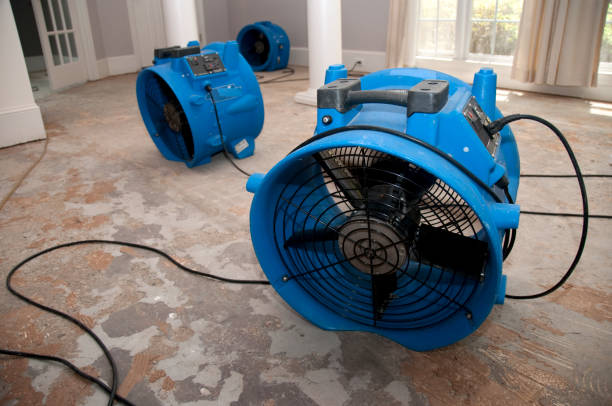 Best Commercial water damage restoration  in Hillsboro, OH