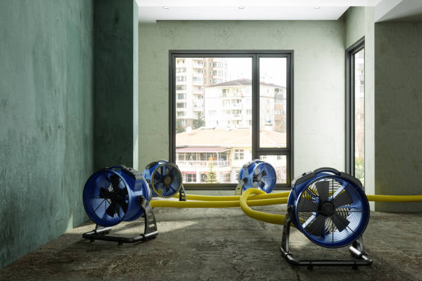 Best Emergency water damage restoration  in Hillsboro, OH